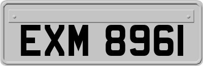 EXM8961