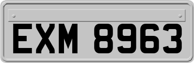 EXM8963