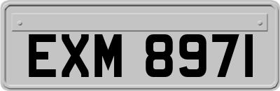 EXM8971