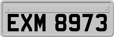 EXM8973