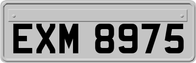 EXM8975