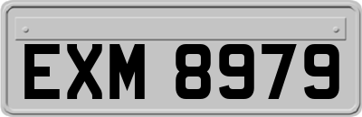 EXM8979