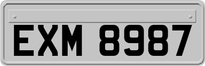 EXM8987