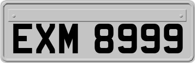 EXM8999