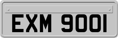 EXM9001