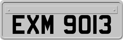 EXM9013