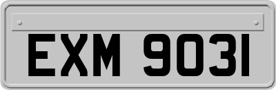 EXM9031