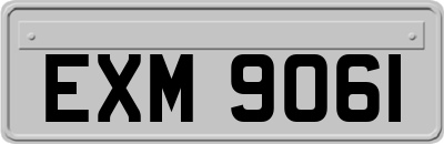 EXM9061