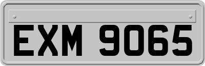 EXM9065