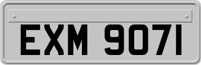 EXM9071