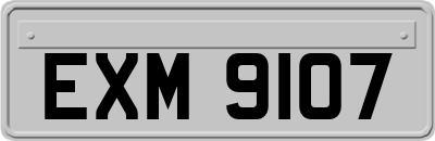 EXM9107