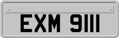 EXM9111