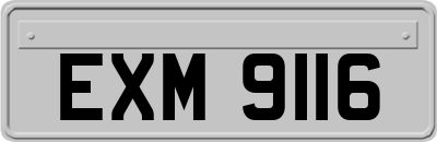 EXM9116
