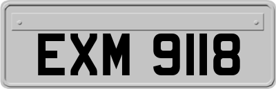 EXM9118