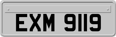 EXM9119