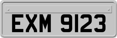 EXM9123