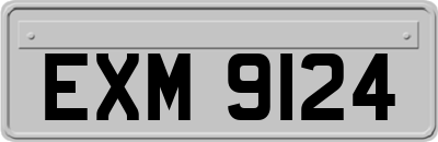 EXM9124