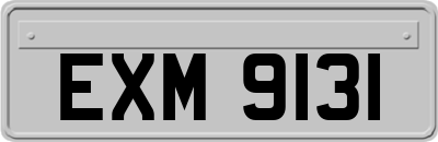 EXM9131