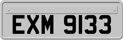 EXM9133