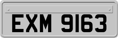 EXM9163