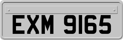 EXM9165