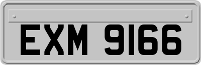 EXM9166