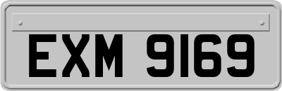 EXM9169