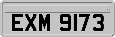 EXM9173