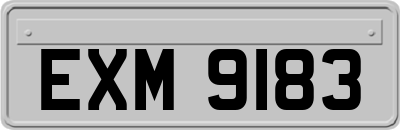EXM9183