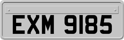 EXM9185