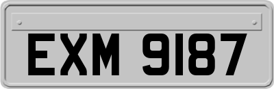 EXM9187