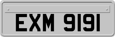 EXM9191
