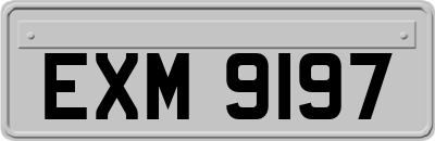 EXM9197