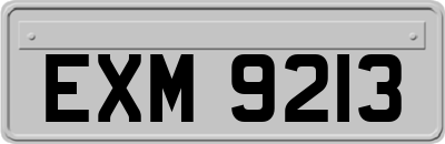 EXM9213