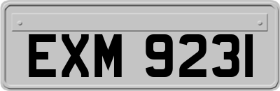EXM9231