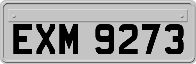 EXM9273