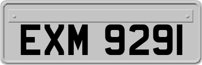 EXM9291