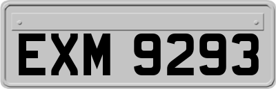 EXM9293