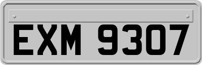 EXM9307