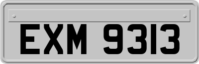 EXM9313