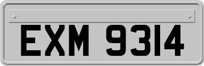 EXM9314