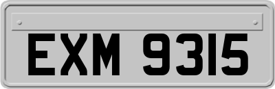 EXM9315