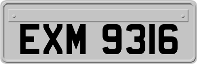 EXM9316
