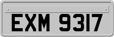 EXM9317