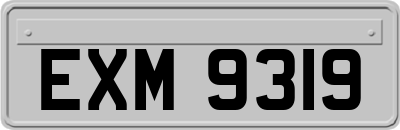EXM9319