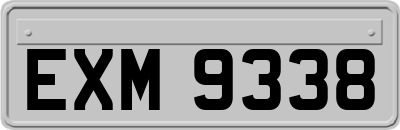 EXM9338