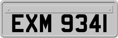 EXM9341