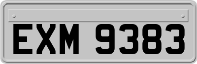 EXM9383