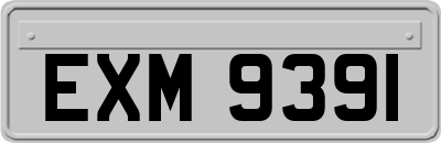 EXM9391