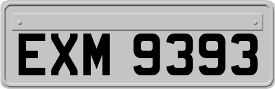 EXM9393